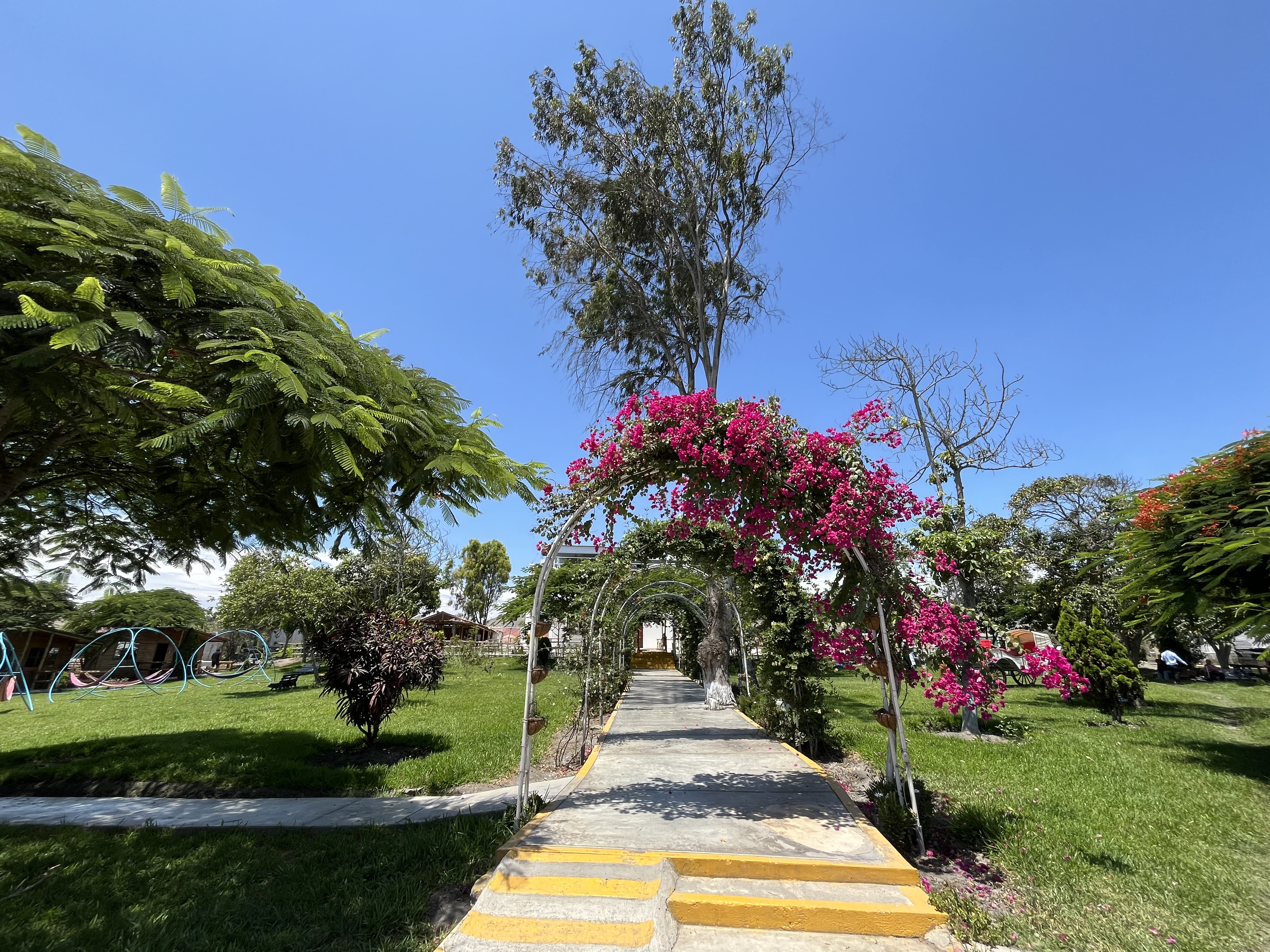 Áreas verdes y hamacas